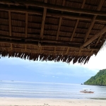 Nomadevo.com/es/: El Santuario Digital del Viajero del Alma